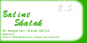 balint skalak business card